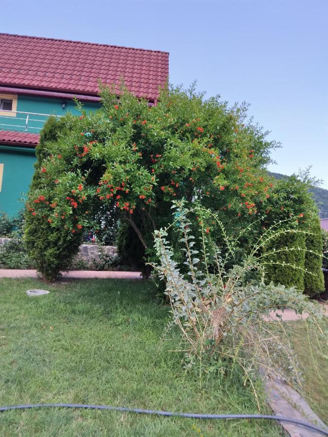 Casa Lucian Hotel Dubova Exterior photo